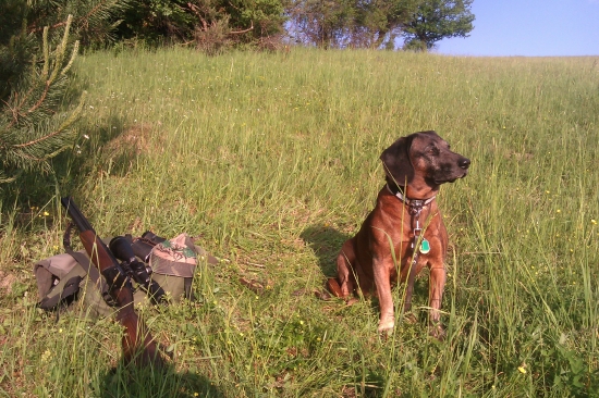 postriežka s arturom
