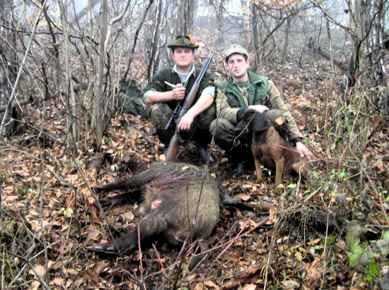 artur a dohladané prasa