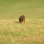 Artúr