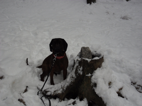 Keď sme doniesli soľ do soľníka