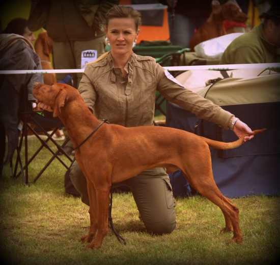 Národná výstava psov Senec