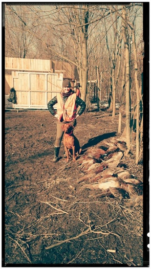 Poľovačka Tomášikovo