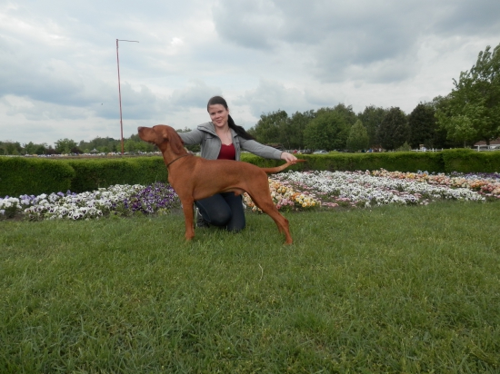 Fenix - šampión Srbska