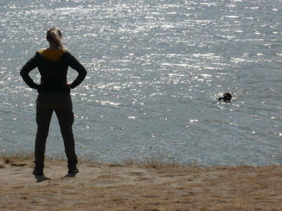 Špeciálne skúšky z vodnej práce -prinášanie kačice z hlbokej vody