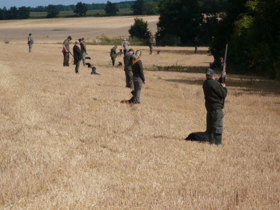 Špeciálne skúšky z vodnej práce- pokoj na stanovisku