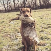 Polovka -revír Dolné Krškany