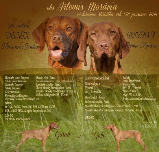 Fenix bude zase tatko :)