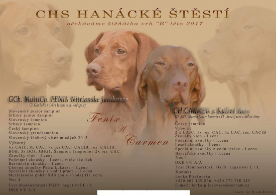 Fenix bude znova tatko :)