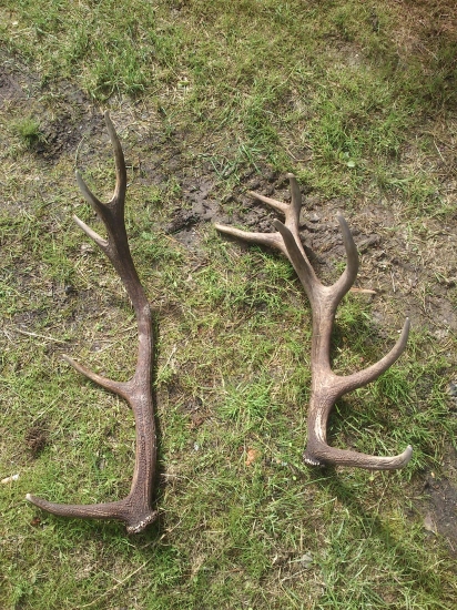 To bola naozaj iba náhoda.