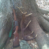 na prechádzke lesom 1