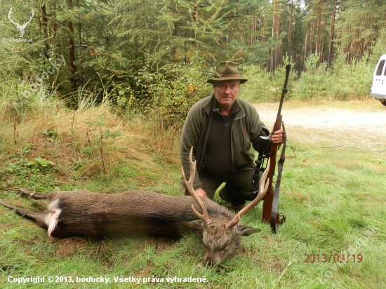 Sika