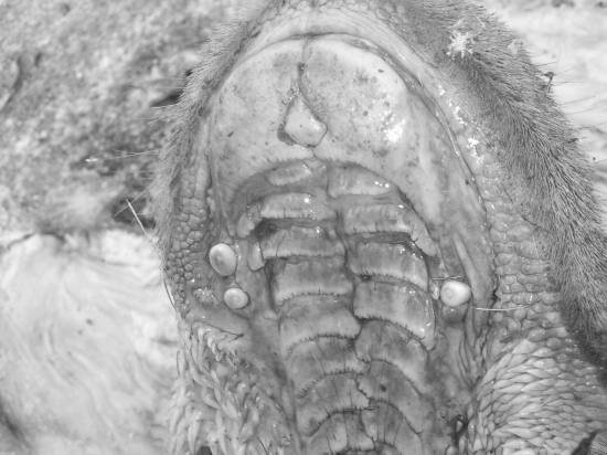 Viac ako je zvykom :-)