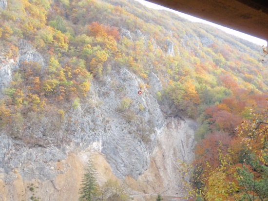 Kamzík 2015 Slovinsko