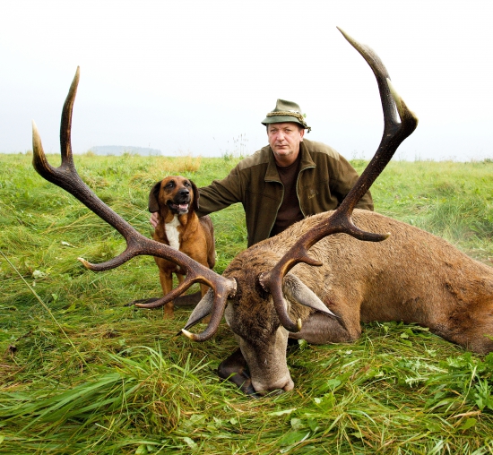 PETROVA ŠTVORKA K 50 - tke