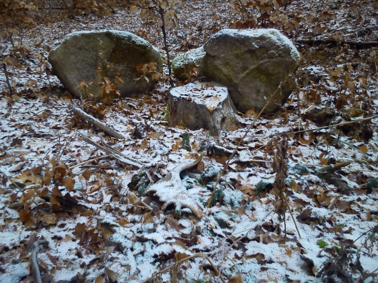 Priaťeľkin prvý danieli paroh.
