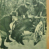 Magyar vadász