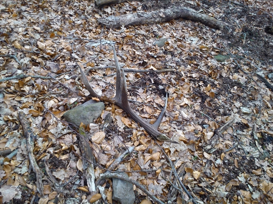 Keď radosť vystrieda sklamanie