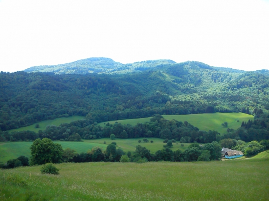 Sitno