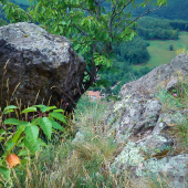 Pohľad dolu