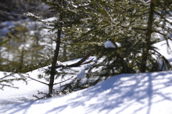 keď srdiečko podskoči