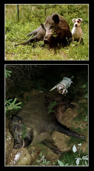 Jedna z jeho prvých dohľadávok.