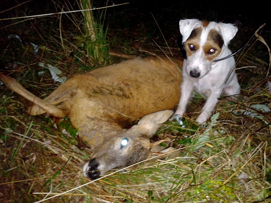 Opäť úspešná :)