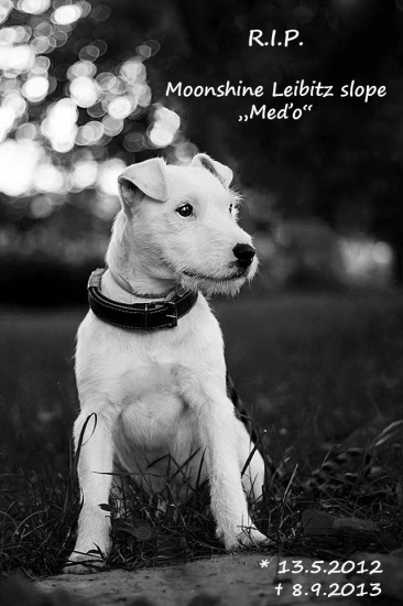 Ostali už len spomienky...