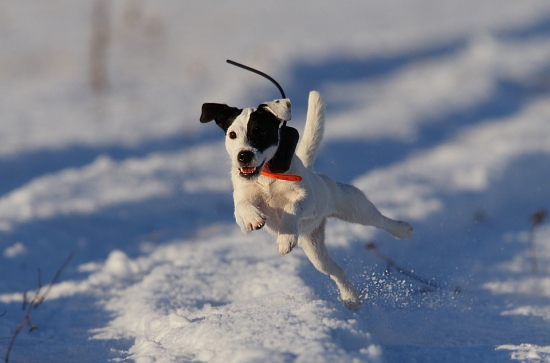 Plnou parou vpred :)