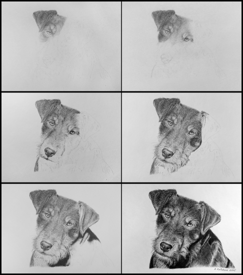 Jagdteriér AXA - ceruza