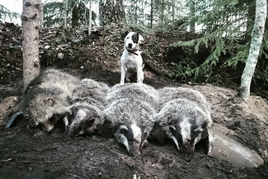 Najlepšia práca v jej prvej pracovnej sezóne