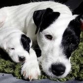 Aká matka, taká Katka.