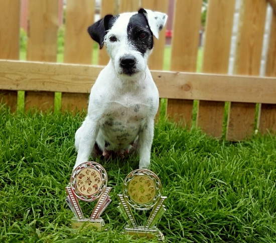 Naša čerstvá šampiónka práce. :)