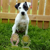 Naša čerstvá šampiónka práce. :)