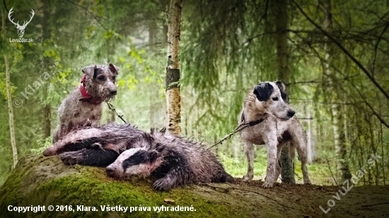 Zahájenie poľovníckej sezóny (mimo SR)