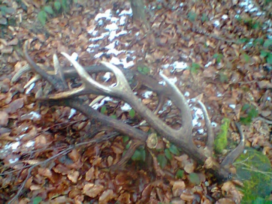 popri doplnani soliska