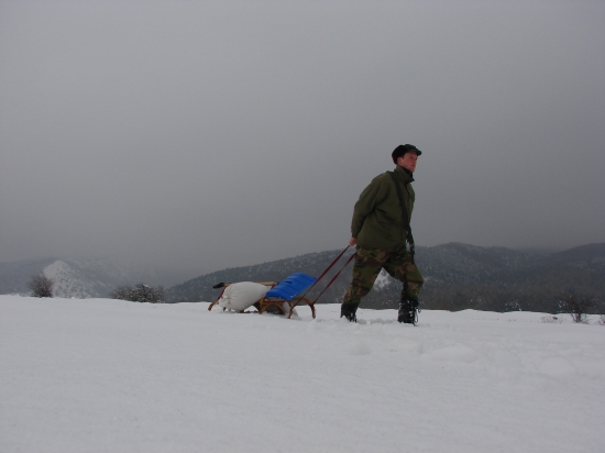 Starostlivost o zver