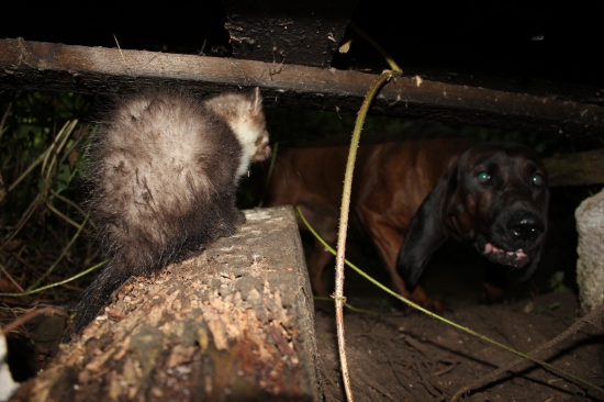 Lekcia ako zadržať a hlásiť