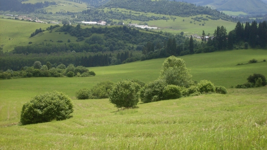 Priroda v Nižnej nad Oravou