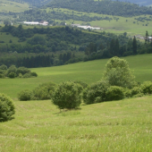 Priroda v Nižnej nad Oravou