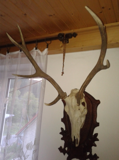 hm.. mohol byť hrubší