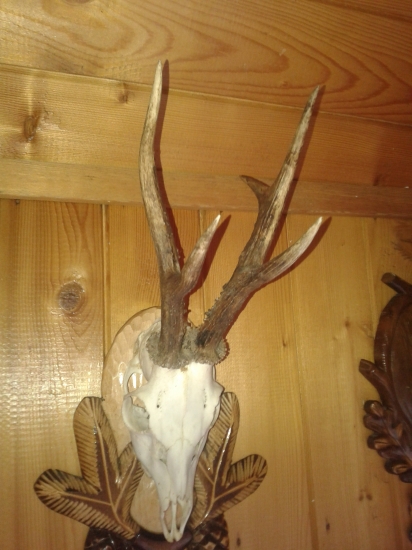 No čo už s nim ked ho mám