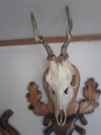 Njn aj take mam rad :)