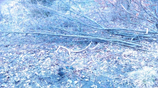 Konečne aj mne sa podarilo