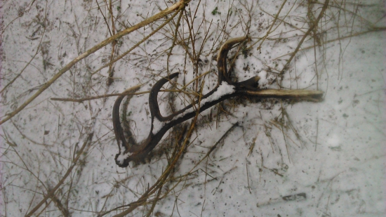 12 torak sezóna zahájená