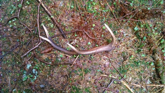 Tak poď sem keď ťa už vidím