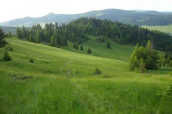 Paskova