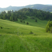 Paskova