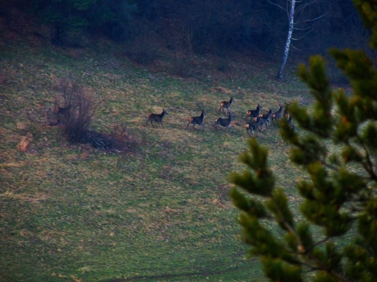 Kusok z dnesneho dna