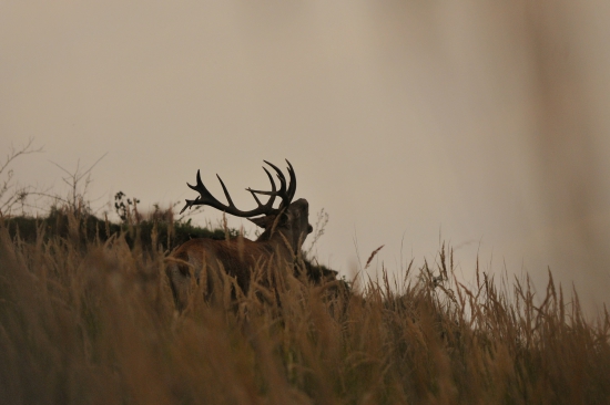 Čaro septembrového večera