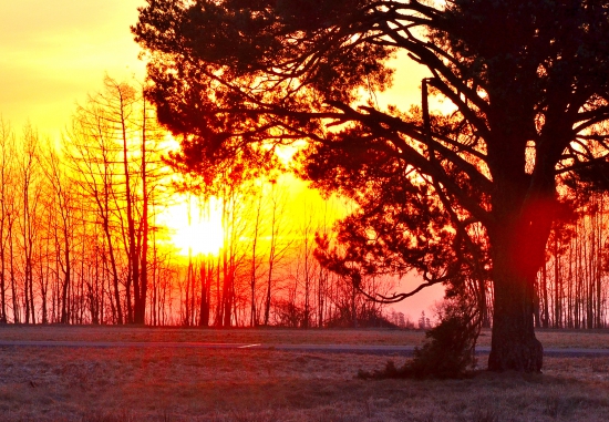 východ slnka (21.03.2015)